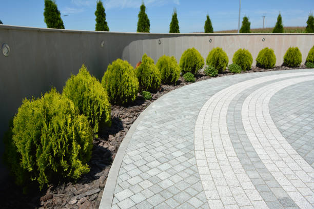 Best Residential Paver Driveway  in Norristown, PA
